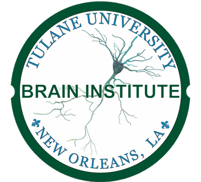 Brain Institute